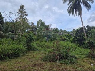 出售 土地 在 Koh Phangan, 素叻