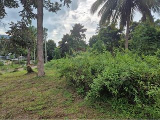 出售 土地 在 Koh Phangan, 素叻