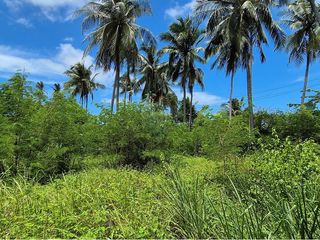 出售 土地 在 Koh Phangan, 素叻