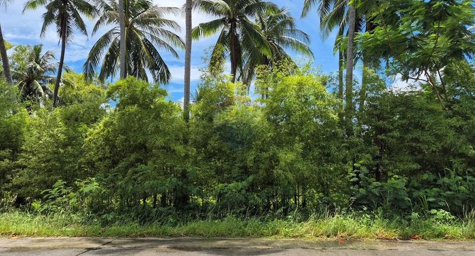 Terreno en venta en Ko Pha-ngan, Surat Thani
