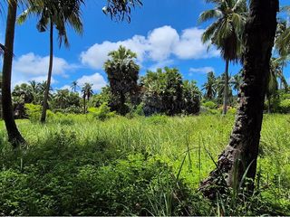 出售 土地 在 Koh Phangan, 素叻