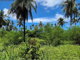 出售 土地 在 Koh Phangan, 素叻