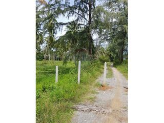 For sale land in Tha Sala, Nakhon Si Thammarat