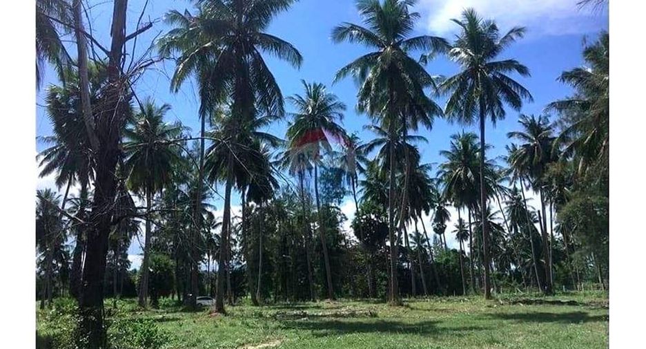 Terreno en venta en Tha Sala, Nakhon Si Thammarat