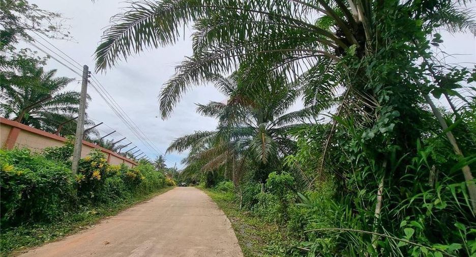 Продажа Участок в Thung Song, Nakhon Si Thammarat