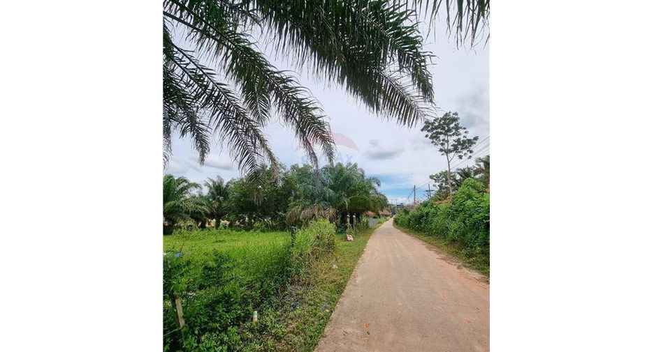 Продажа Участок в Thung Song, Nakhon Si Thammarat