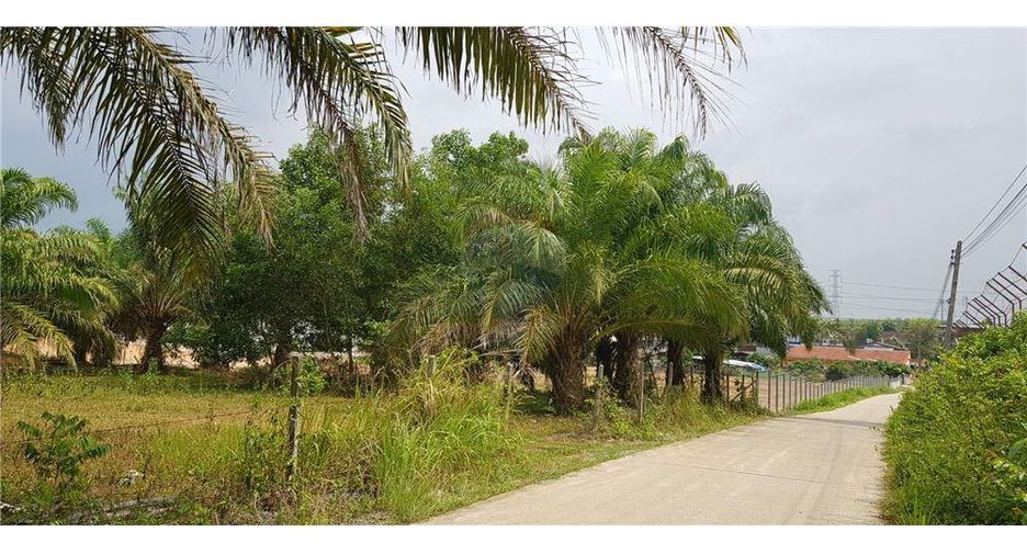 Продажа Участок в Thung Song, Nakhon Si Thammarat
