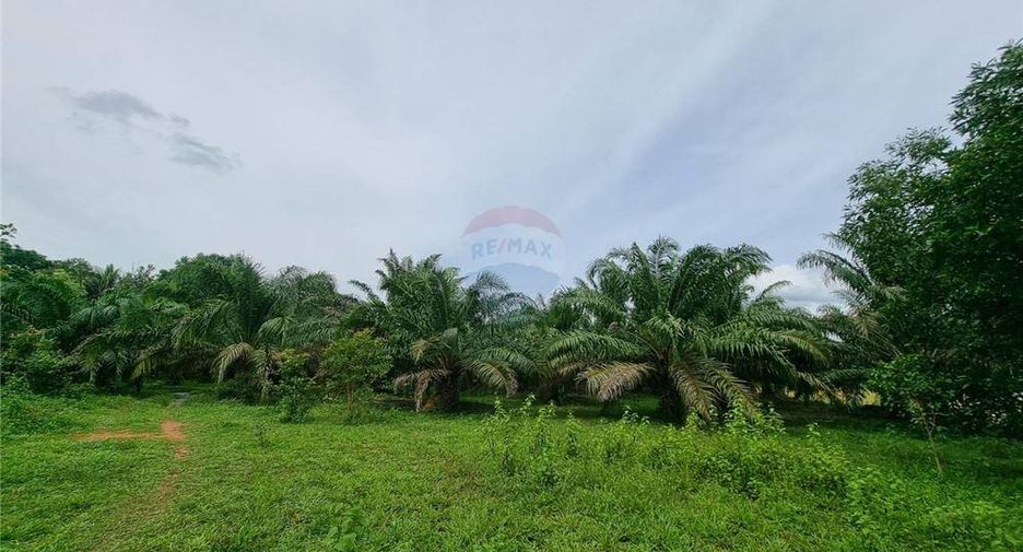 Продажа Участок в Thung Song, Nakhon Si Thammarat