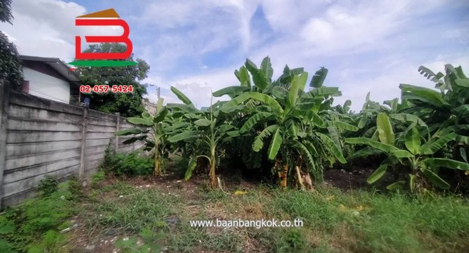 For sale land in Bang Kho Laem, Bangkok