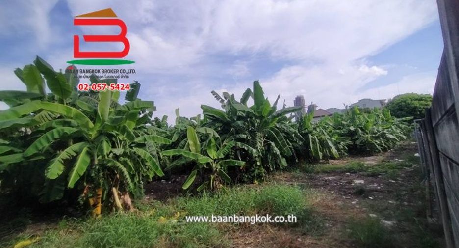 For sale land in Bang Kho Laem, Bangkok