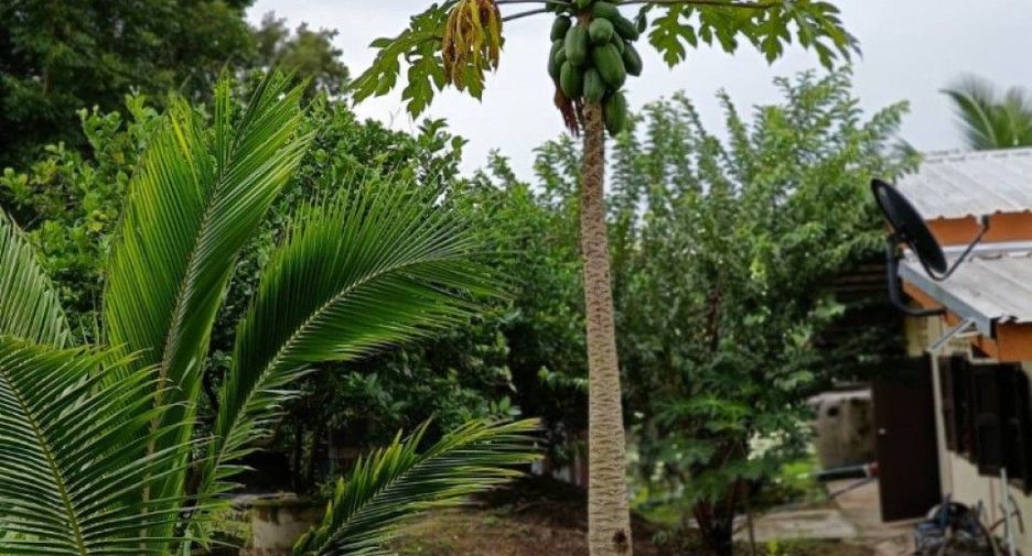 For sale land in Nong Chang, Uthai Thani