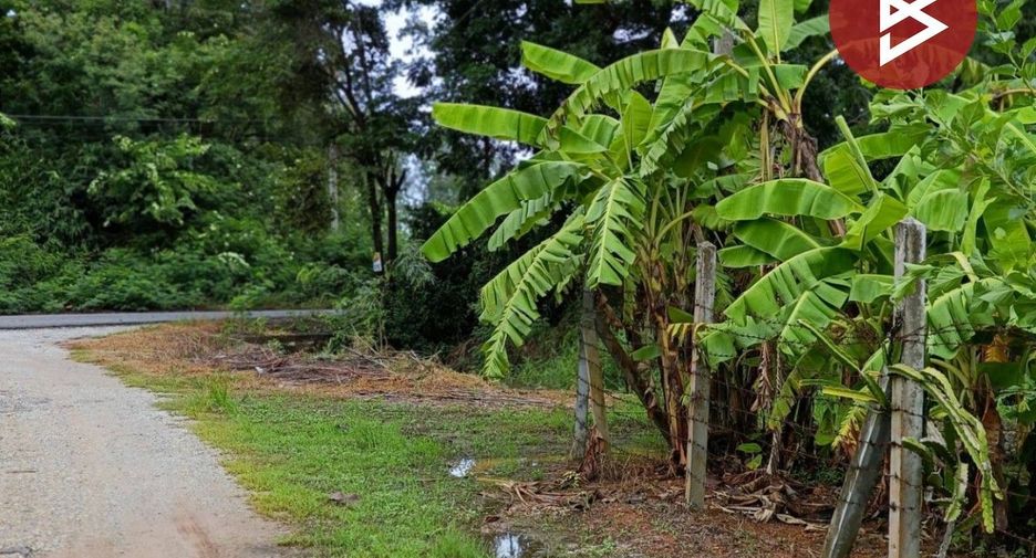 For sale land in Nong Chang, Uthai Thani