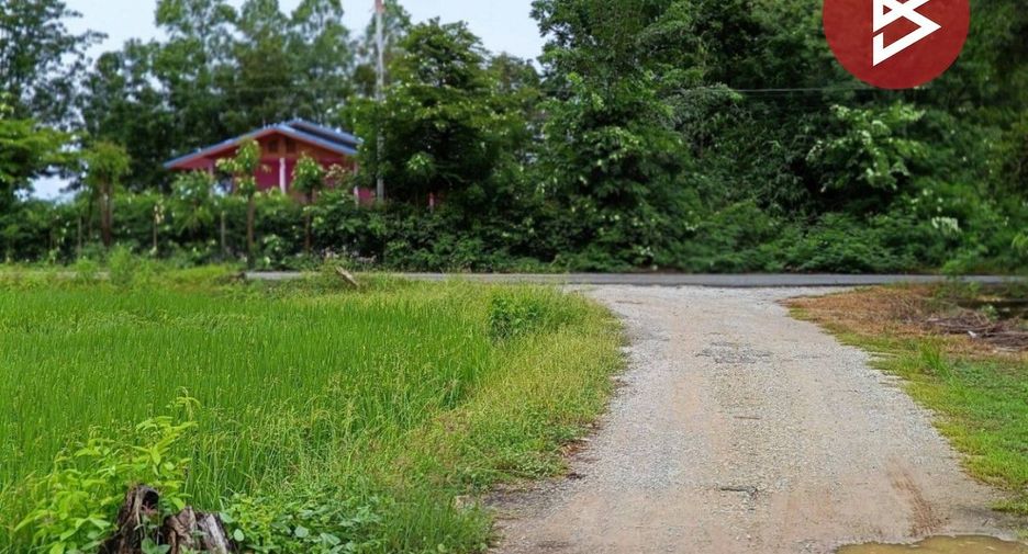 For sale land in Nong Chang, Uthai Thani
