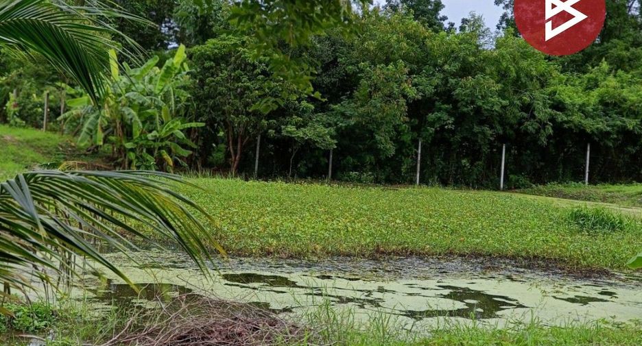 For sale land in Nong Chang, Uthai Thani