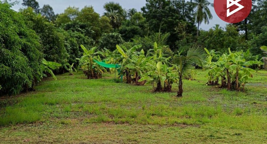 For sale land in Nong Chang, Uthai Thani