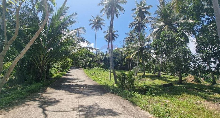 For sale land in Khanom, Nakhon Si Thammarat