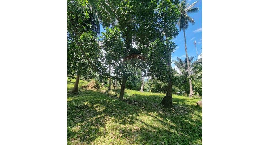 For sale land in Khanom, Nakhon Si Thammarat