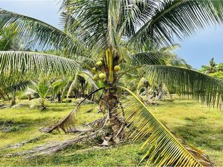 For sale land in Ao Luek, Krabi
