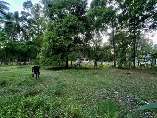 For sale land in Tha Sala, Nakhon Si Thammarat