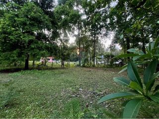 For sale land in Tha Sala, Nakhon Si Thammarat