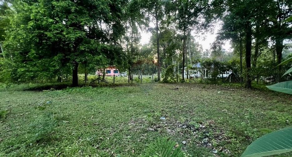 For sale land in Tha Sala, Nakhon Si Thammarat