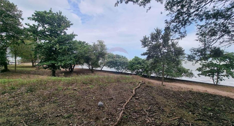 For sale land in Don Sak, Surat Thani