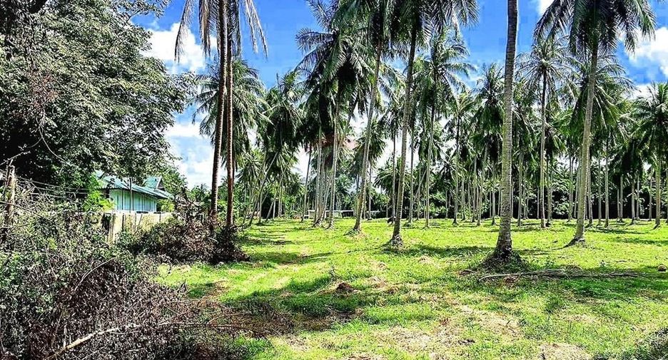For sale land in Ko Samui, Surat Thani