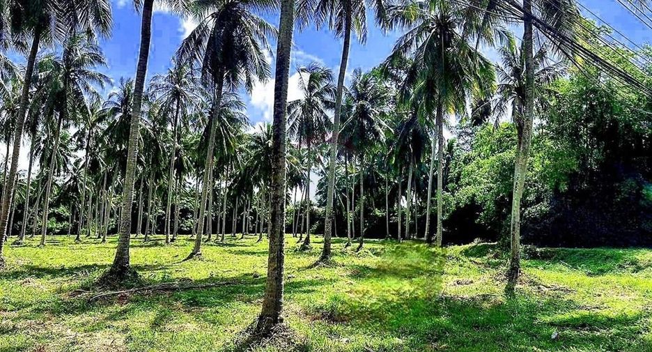 For sale land in Ko Samui, Surat Thani