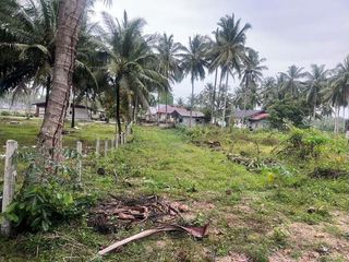 For sale land in Tha Sala, Nakhon Si Thammarat
