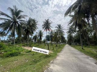 For sale land in Tha Sala, Nakhon Si Thammarat