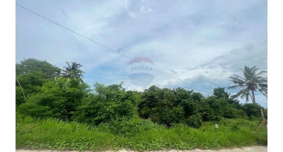 Grundstück zum Kauf in Tha Sala, Nakhon Si Thammarat