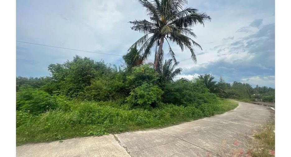 Grundstück zum Kauf in Tha Sala, Nakhon Si Thammarat