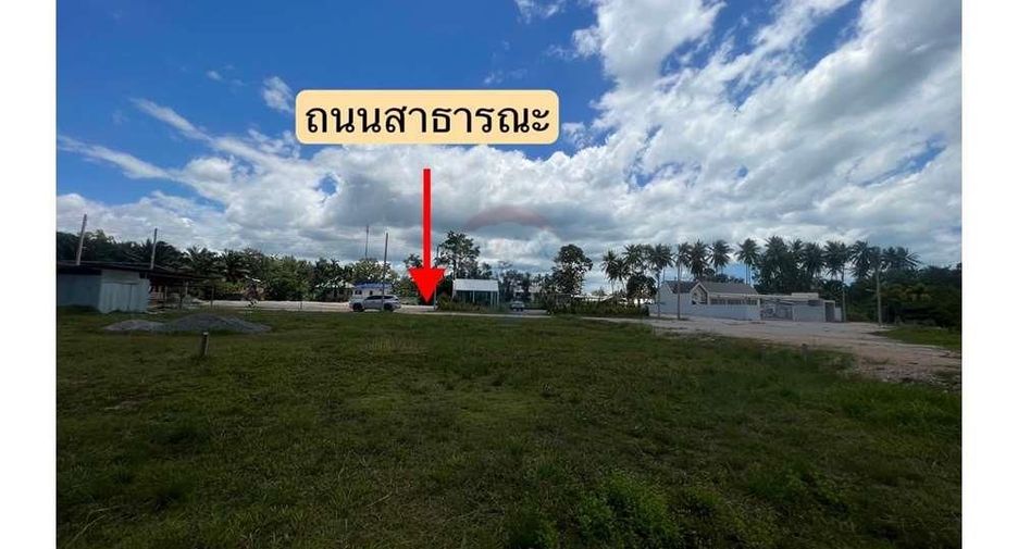 ขาย ที่ดิน ใน ขนอม, นครศรีธรรมราช