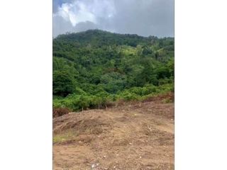 出售 土地 在 苏梅岛, 素叻