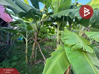 For sale land in Khlong Luang, Pathum Thani