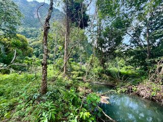 ขาย ที่ดิน ใน เมืองกระบี่, กระบี่
