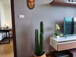 Condo en alquiler de 1 habitaciones en Mueang Chiang Mai, Chiang Mai