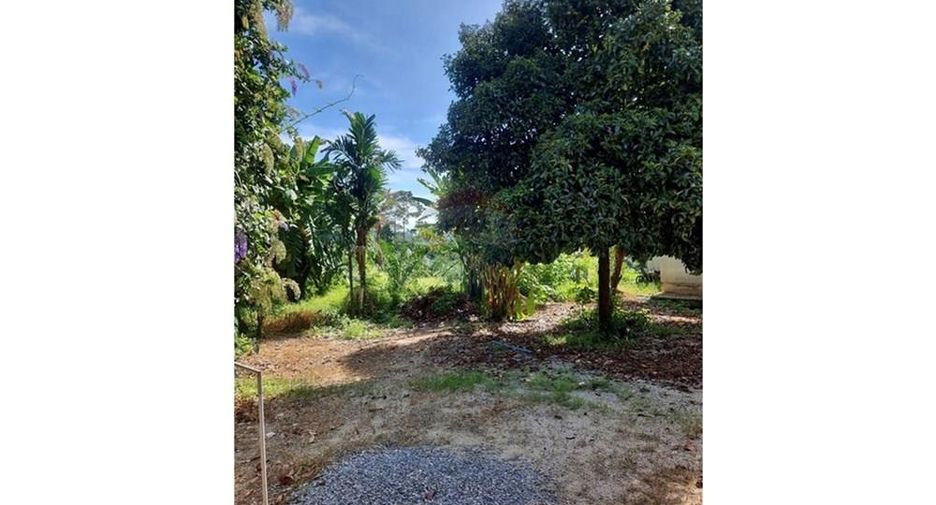 For sale 2 bedrooms house in Sichon, Nakhon Si Thammarat