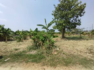 For sale land in Mueang Nonthaburi, Nonthaburi