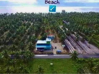 For sale land in Tha Sala, Nakhon Si Thammarat