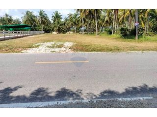 For sale land in Tha Sala, Nakhon Si Thammarat