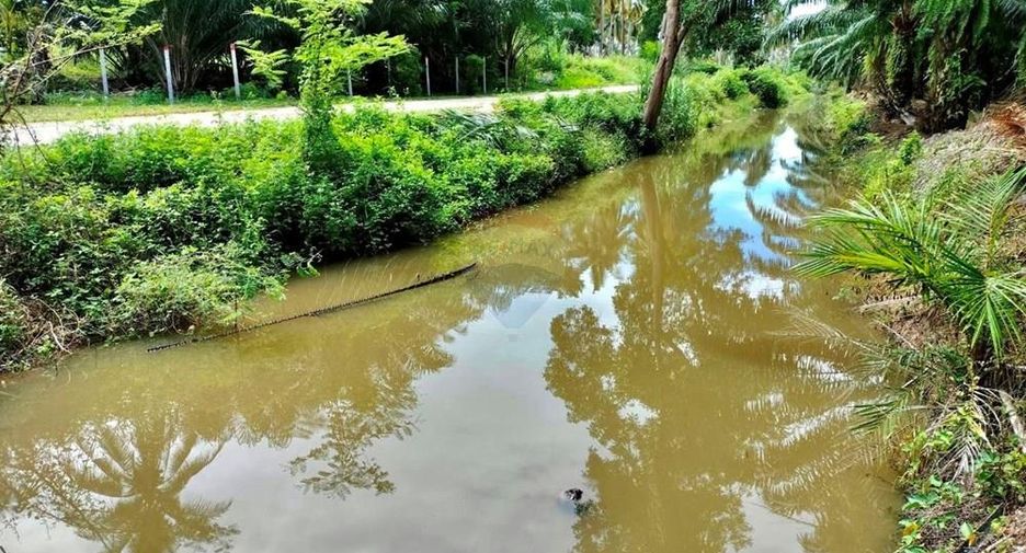 For sale land in Tha Sala, Nakhon Si Thammarat