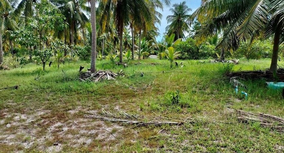 For sale land in Tha Sala, Nakhon Si Thammarat