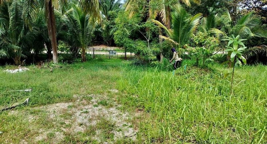 For sale land in Tha Sala, Nakhon Si Thammarat