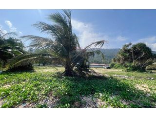 For sale land in Sichon, Nakhon Si Thammarat
