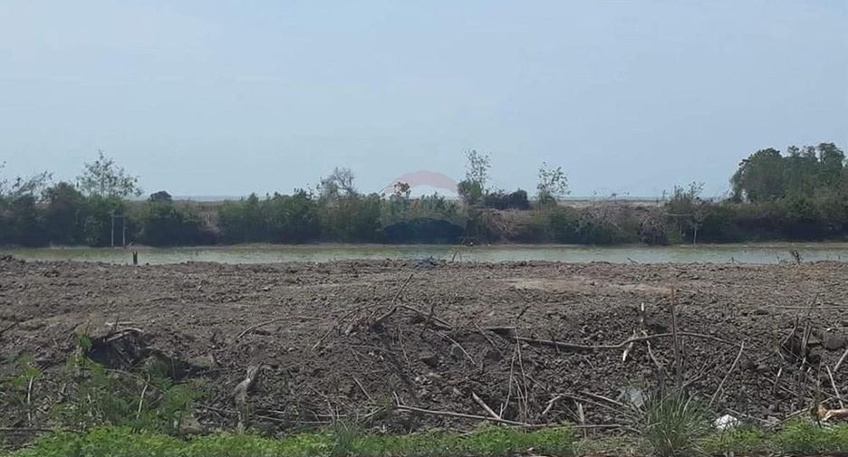 For sale land in Don Sak, Surat Thani