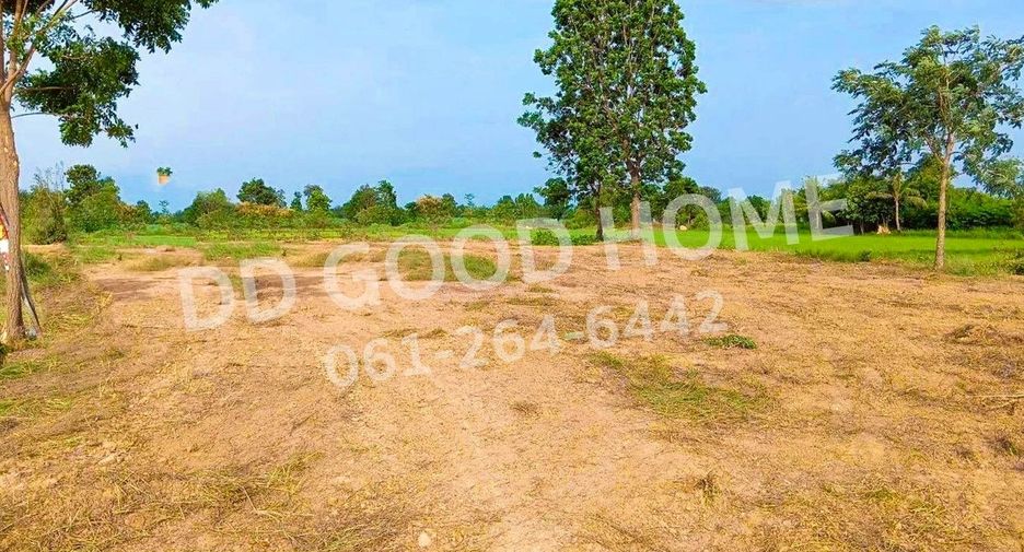 For sale land in Phu Khiao, Chaiyaphum