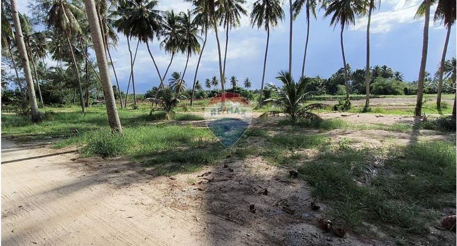 For sale land in Sichon, Nakhon Si Thammarat