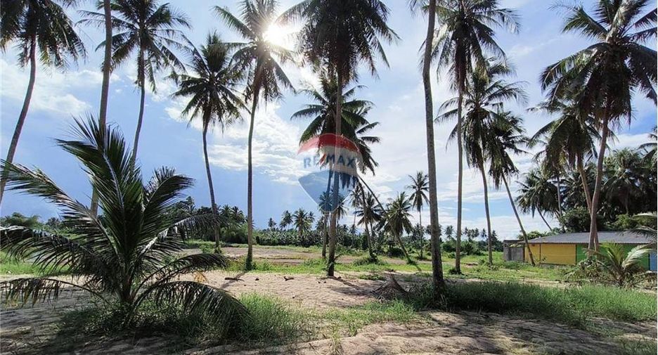 For sale land in Sichon, Nakhon Si Thammarat