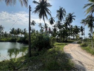 For sale land in Sichon, Nakhon Si Thammarat
